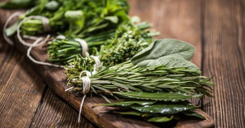 hierbas para cocina